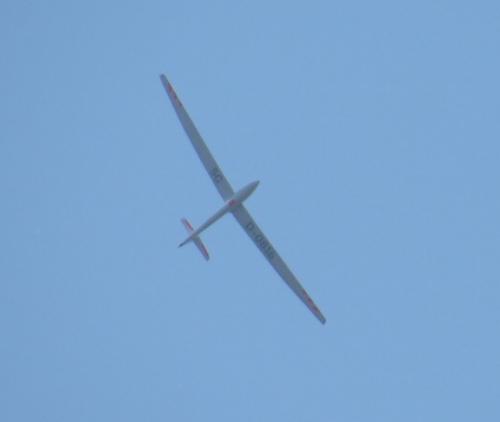 Glider-D-0816-03