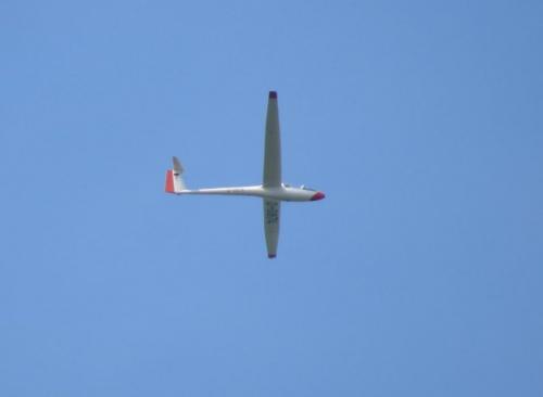 Glider-D-0874-01