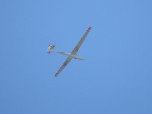 Glider-D-0913-01