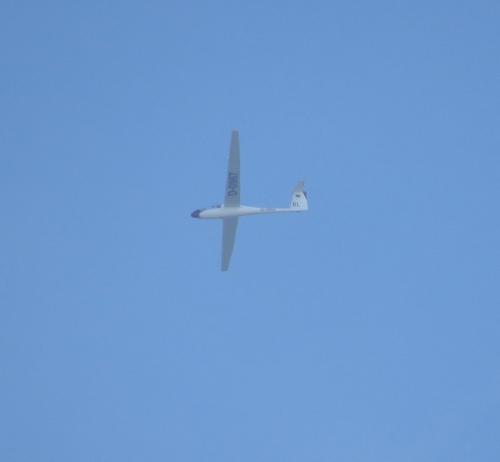 Glider-D-0967-01