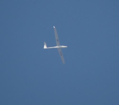 Glider-D-1002-01