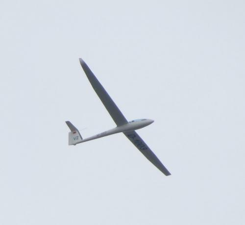 Glider-D-1003-02