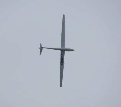 Glider-D-1065-01