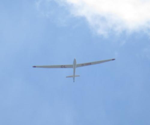 Glider-D-1108-01