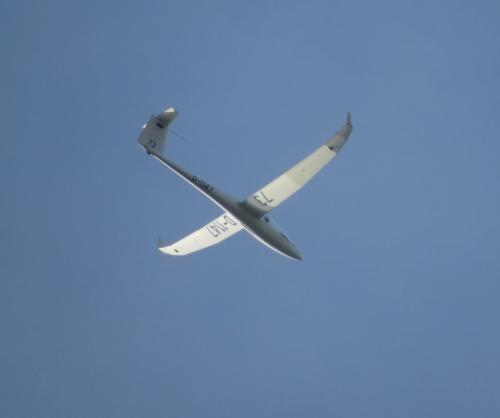 Glider-D-1147-02