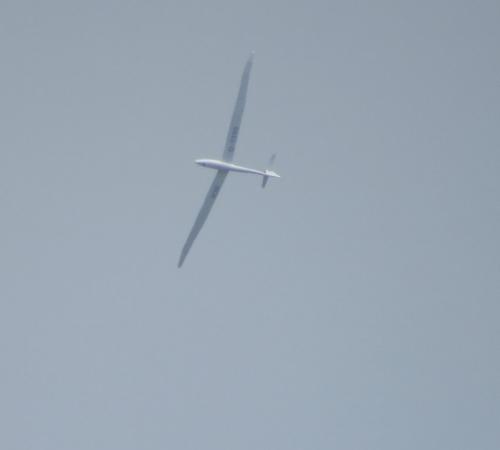 Glider-D-1208-01