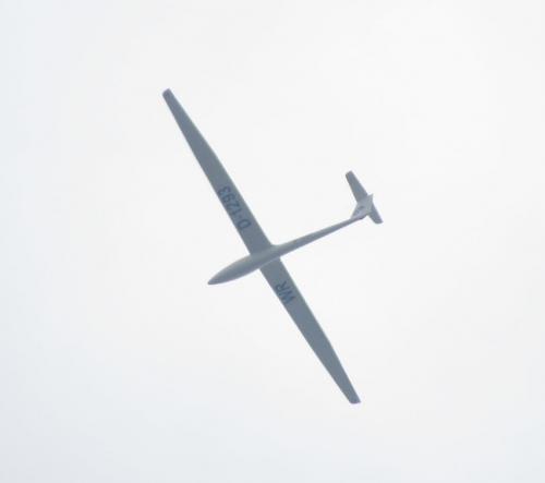 Glider-D-1293-01