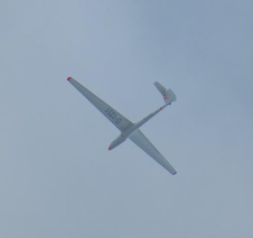 Glider-D-1351-01