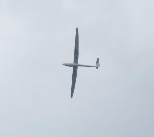 Glider-D-1357-02