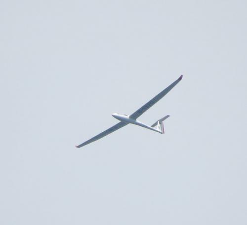 Glider-D-1370-01