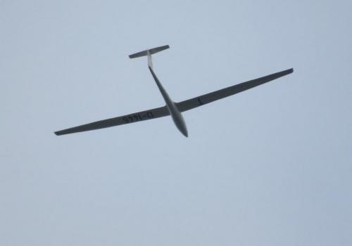 Glider-D-1445-01