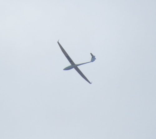 Glider-D-1448-01