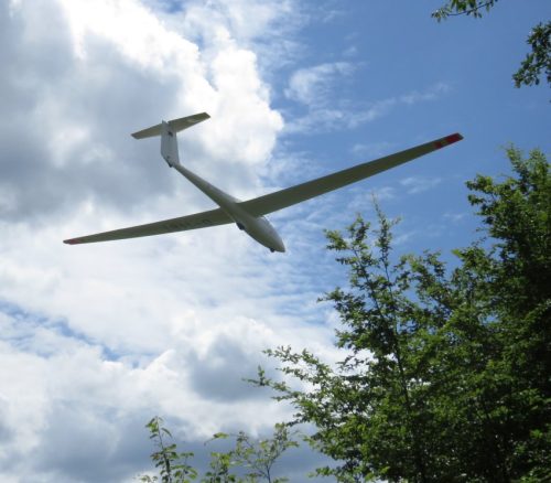 Glider-D-1481-02
