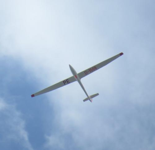 Glider-D-1509-01