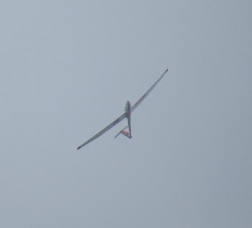 Glider-D-1509-02