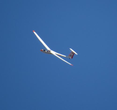 Glider-D-1509-05