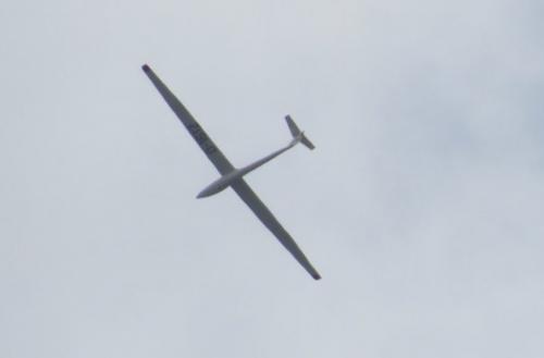 Glider-D-1612-01