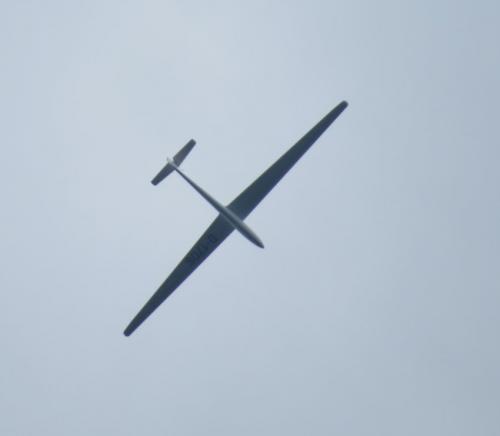 Glider-D-1706-01