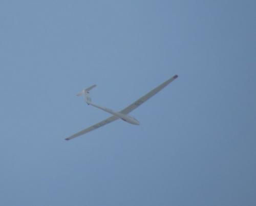 Glider-D-1716-01