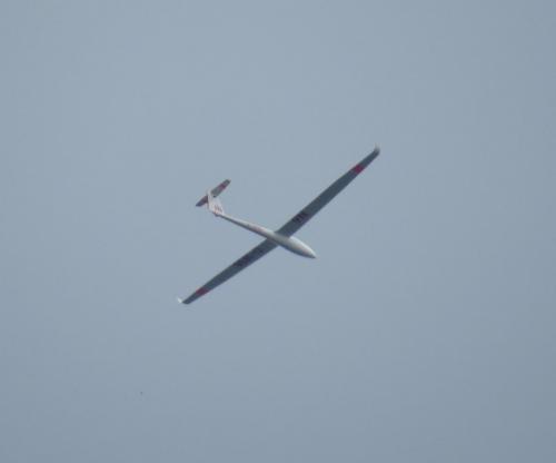 Glider-D-1896-03