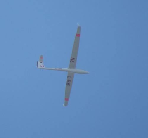 Glider-D-1896-04