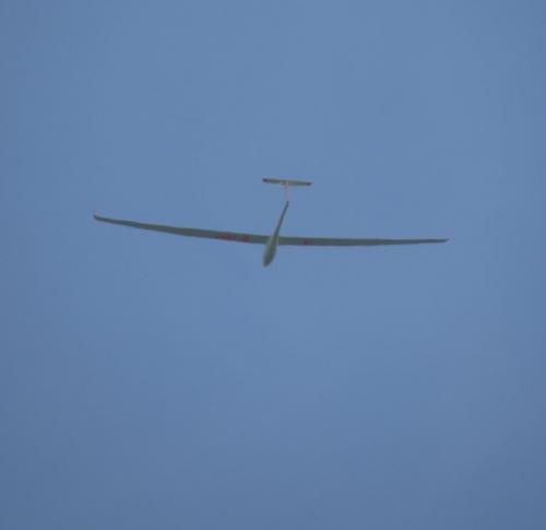 Glider-D-1897-01