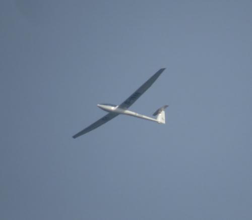 Glider-D-1980-01