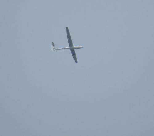 Glider-D-2019-02