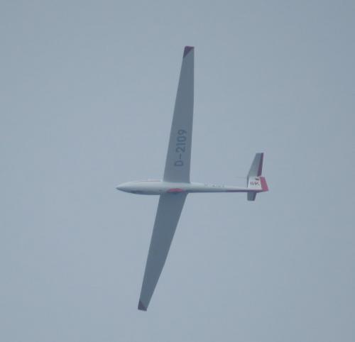 Glider-D-2109-01