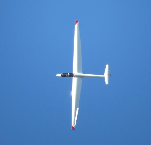 Glider-D-2109-20