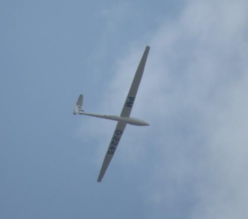 Glider-D-2245-01