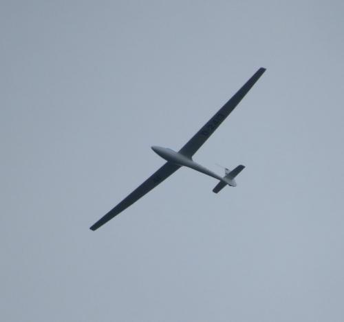 Glider-D-2413-01