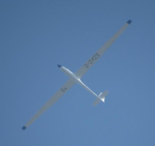 Glider-D-2429-01