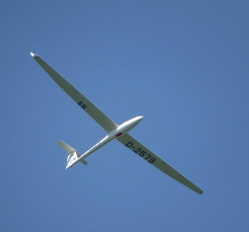 Glider-D-2579-05