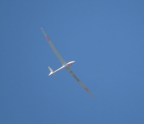 Glider-D-2605-01