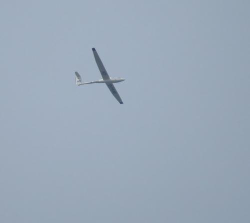 Glider-D-2648-01