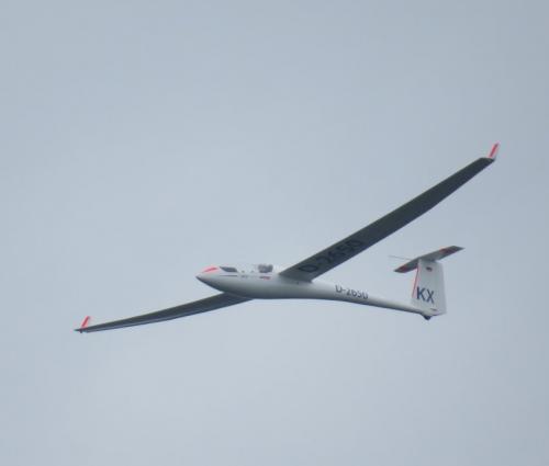 Glider-D-2650-04