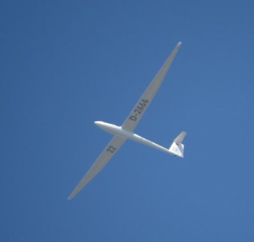 Glider-D-2666-03