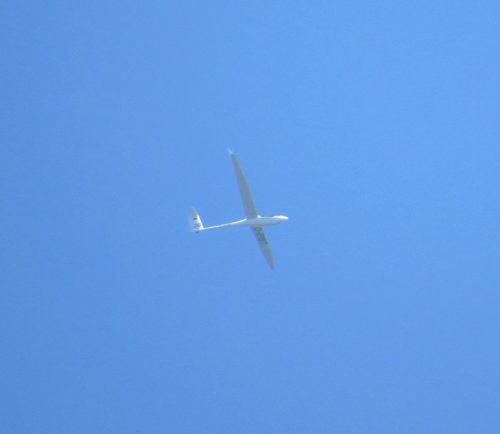 Glider-D-2787-01