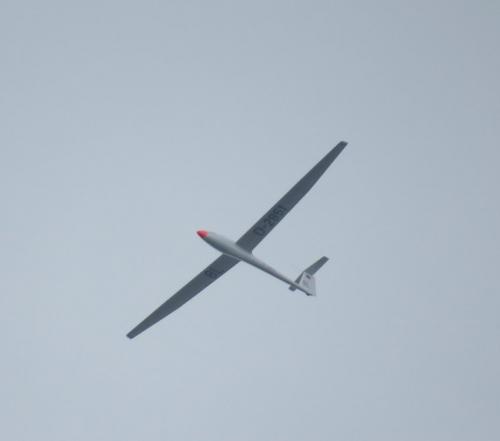 Glider-D-2851-01