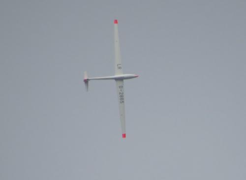 Glider-D-2865-01