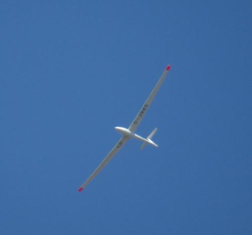 Glider-D-2865-04