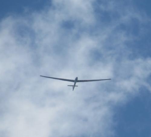 Glider-D-2878-01