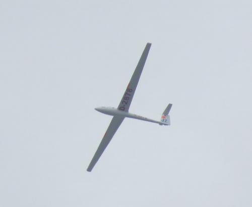 Glider-D-2878-03