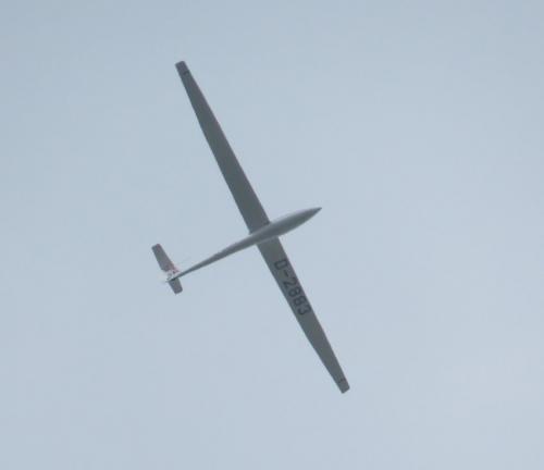 Glider-D-2883-01