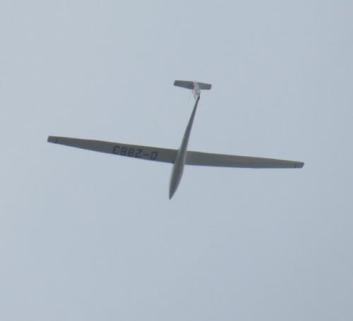 Glider-D-2883-02