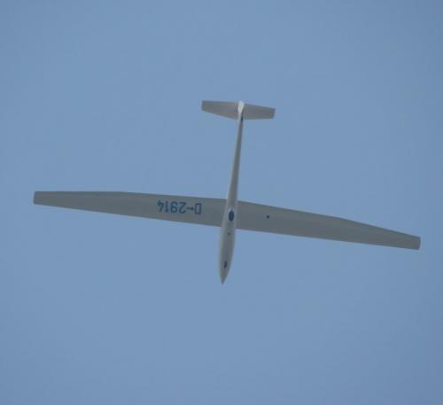 Glider-D-2914-01