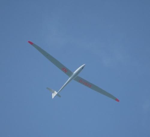 Glider-D-2925-01