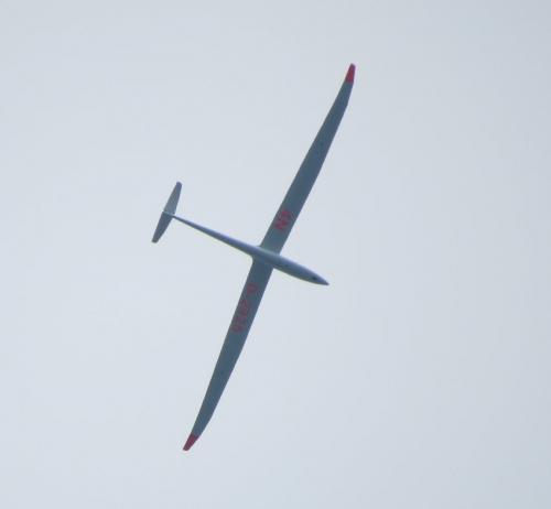 Glider-D-2925-02