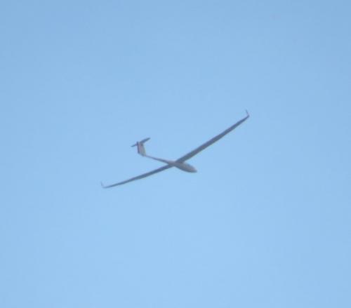 Glider-D-2933-01